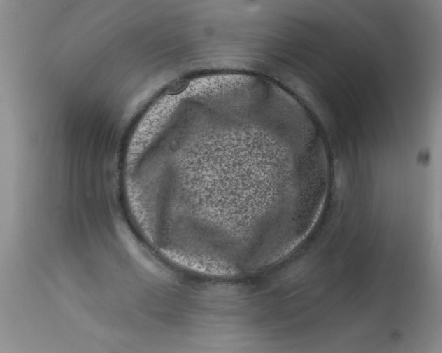 X0000113860677200910151237