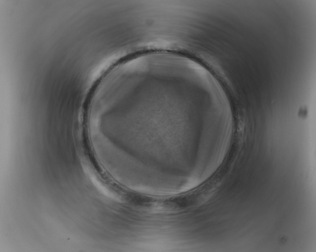 X0000113860678200910151237