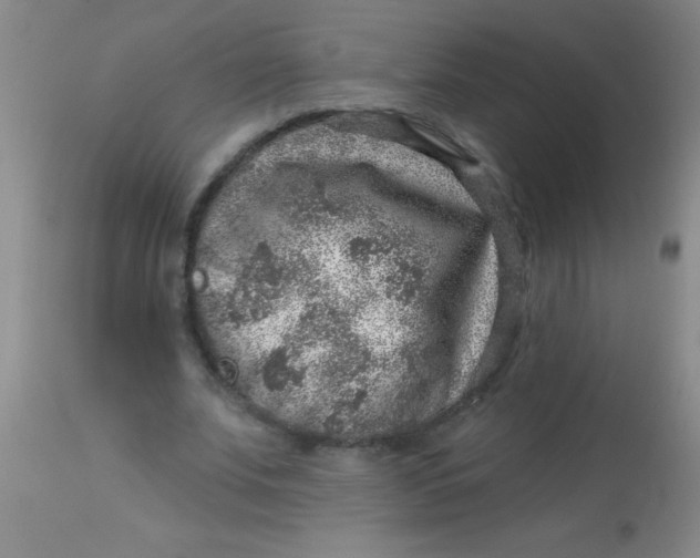 X0000113860679200910151237