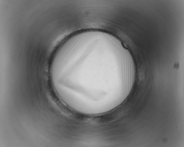 X0000113860680200910151237
