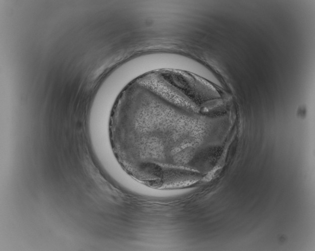 X0000113860681200910151237