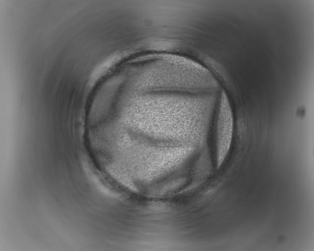 X0000113860682200910151237