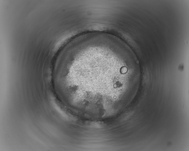 X0000113860683200910151237