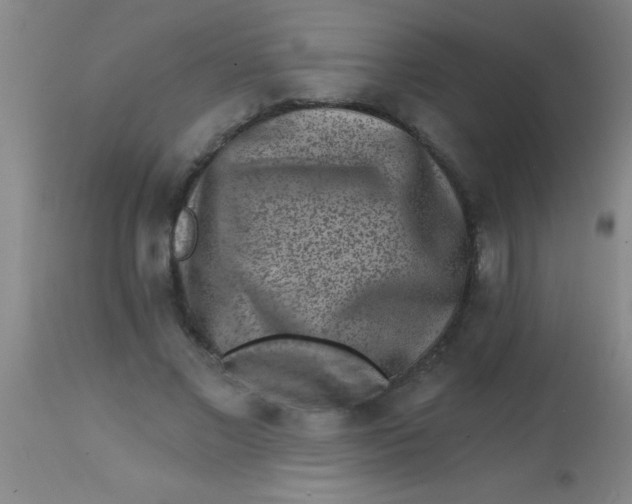 X0000113860685200910151237