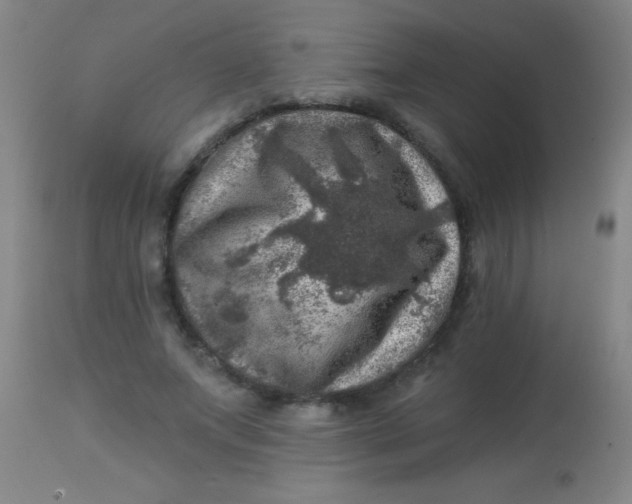X0000113860687200910151237