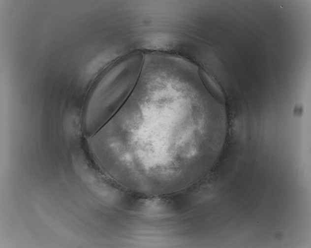 X0000113860688200910151237