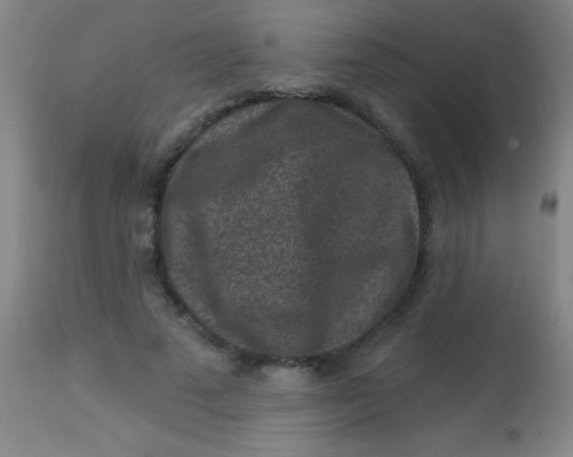 X0000113860689200910151237