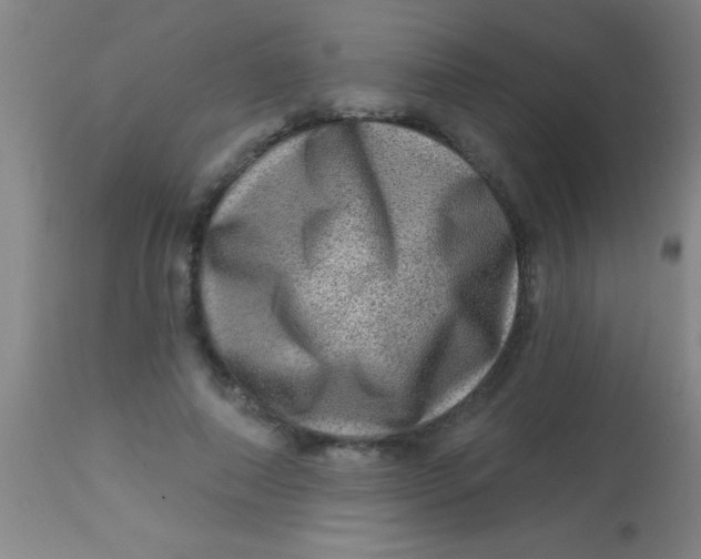 X0000113860690200910151237