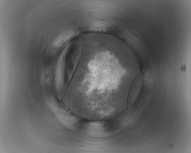 X0000113860692200910151237