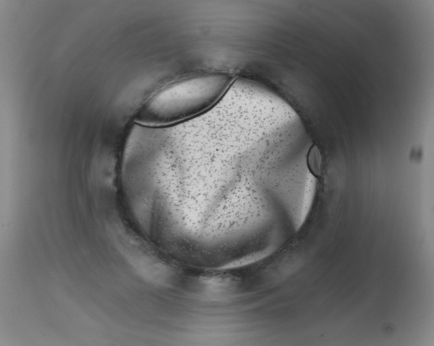 X0000113860693200910151237