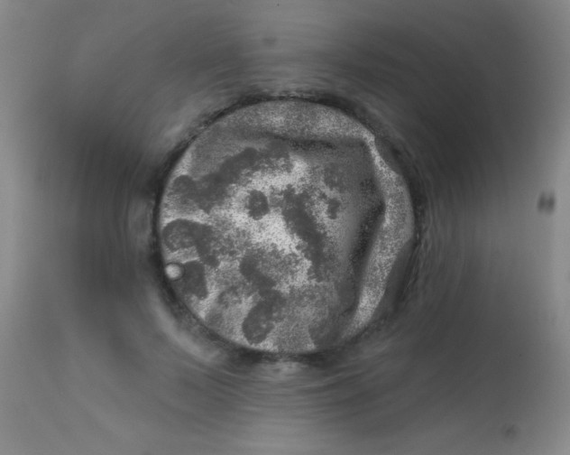 X0000113860695200910151237