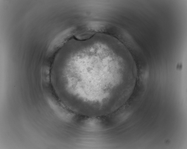 X0000113860696200910151236
