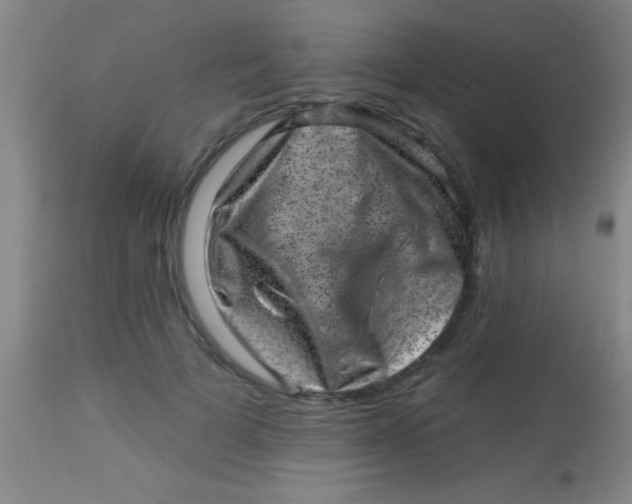 X0000113860697200910151236