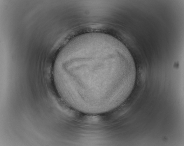 X0000113860698200910151236