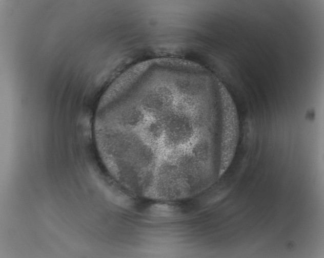 X0000113860699200910151236