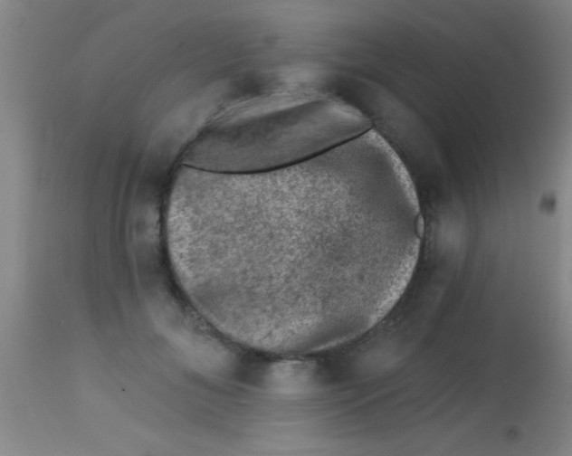 X0000113860700200910151236