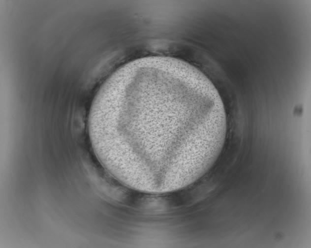 X0000113860702200910151236