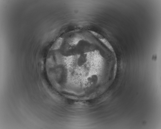X0000113860703200910151236