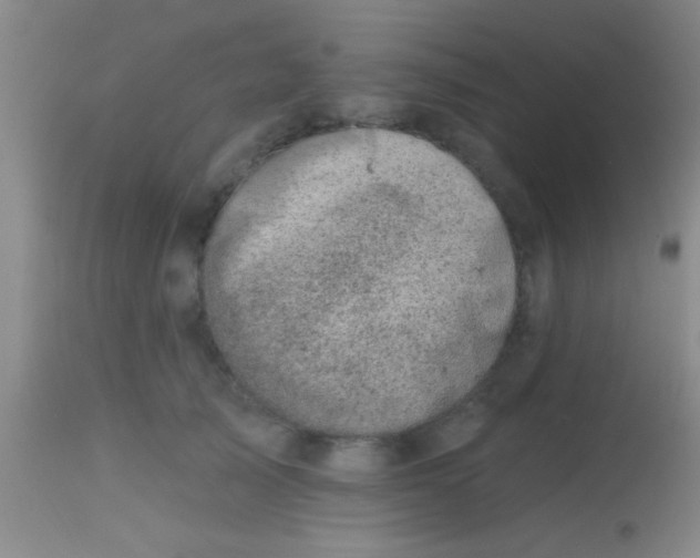 X0000113860705200910151236