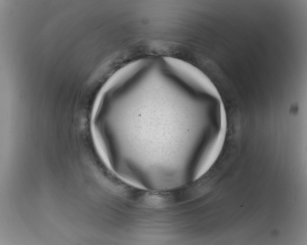X0000113860706200910151236