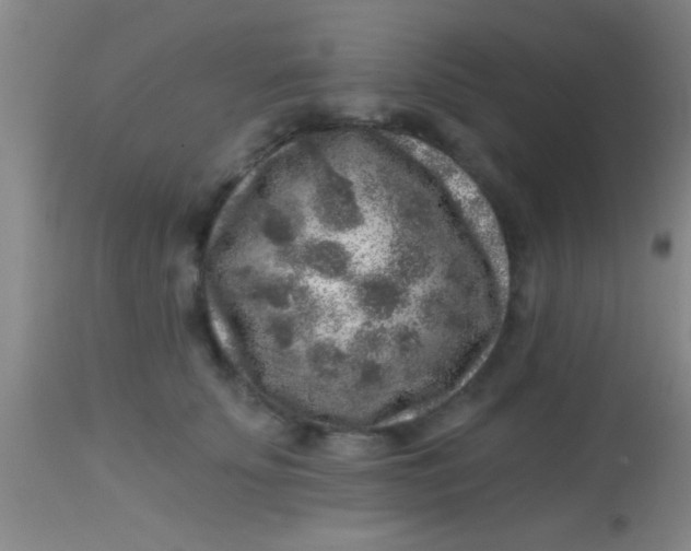 X0000113860707200910151236