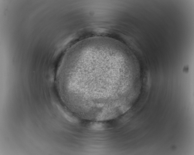 X0000113860710200910151236