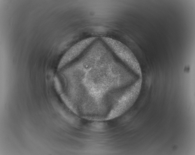 X0000113860711200910151236