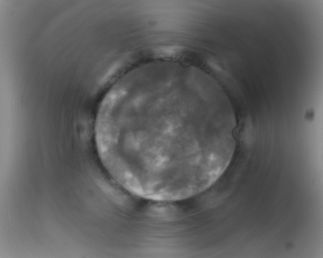 X0000113860712200910151236