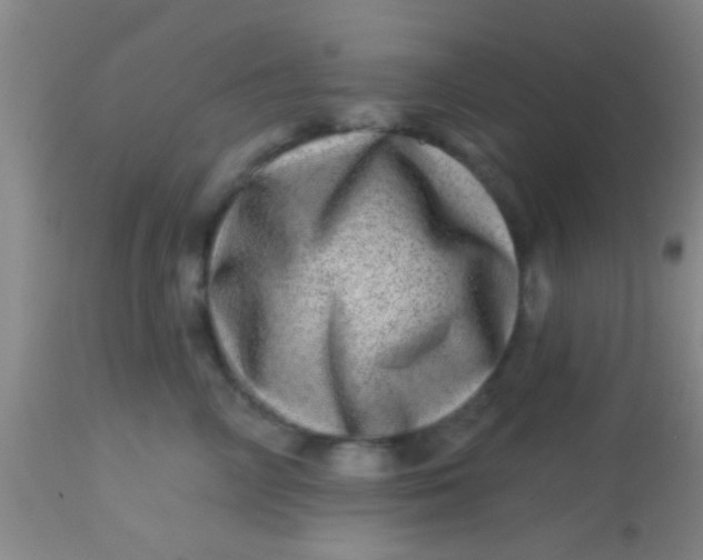 X0000113860714200910151236