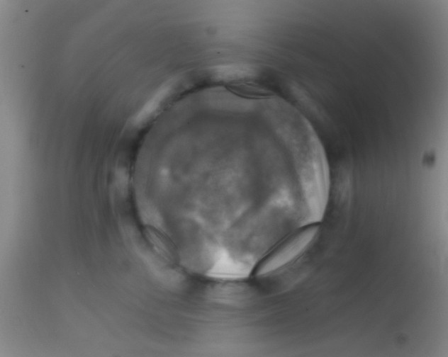 X0000113860716200910151236
