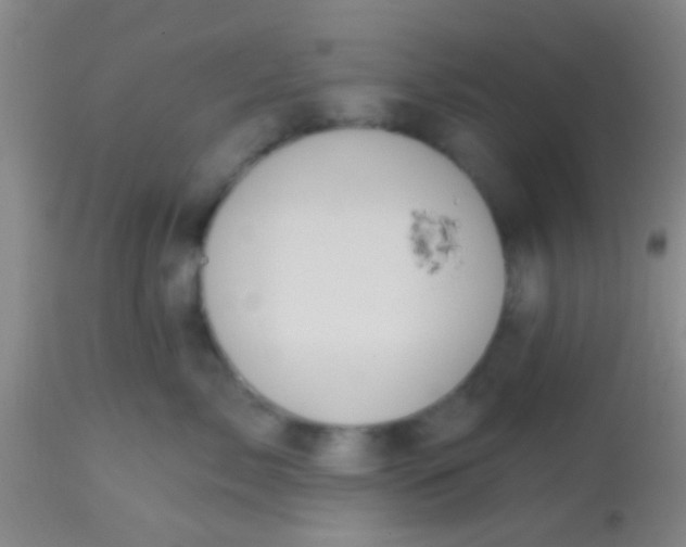 X0000113860717200910151236