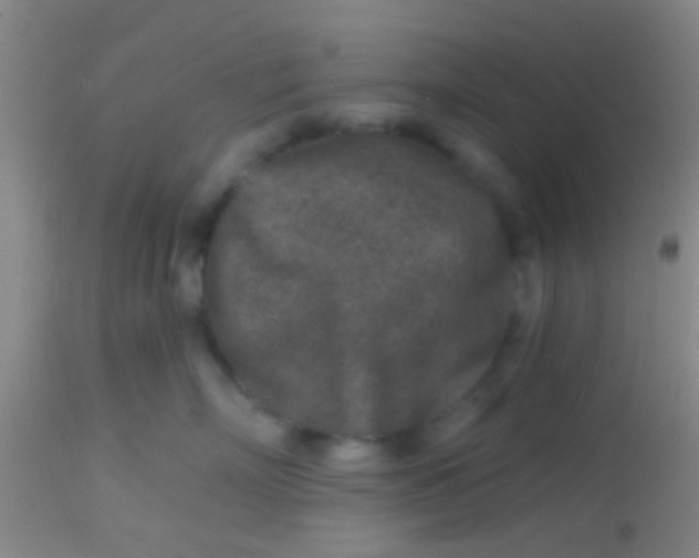 X0000113860718200910151236