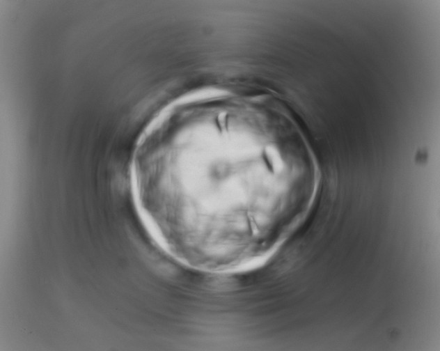 X0000113860719200910151236