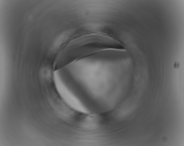 X0000113860720200910151236
