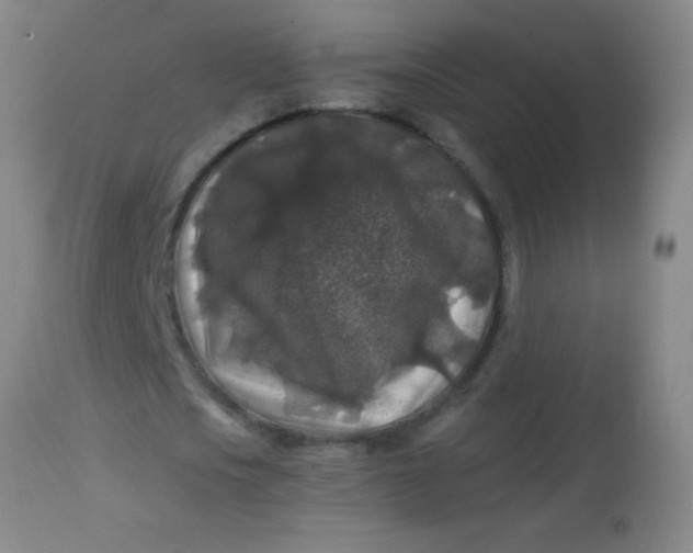 X0000113860721200910151236