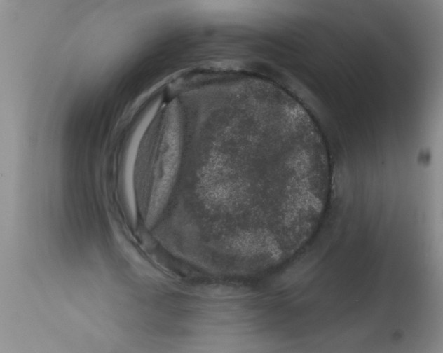 X0000113860722200910151236