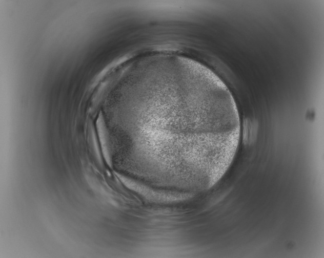 X0000113860723200910151236