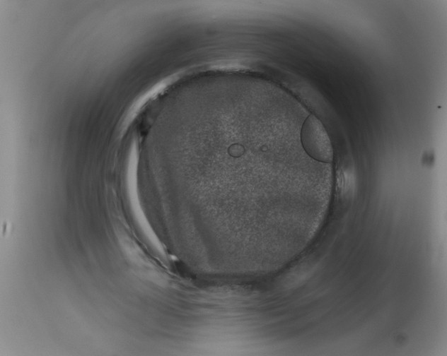 X0000113860724200910151236
