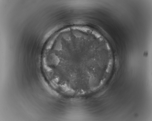 X0000113860725200910151236