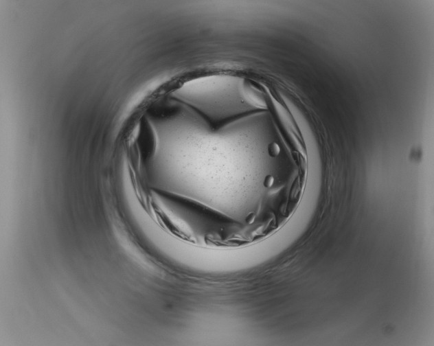 X0000113860726200910151236