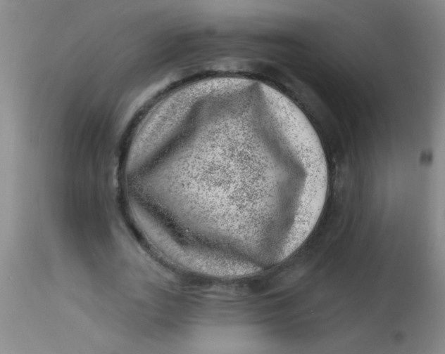 X0000113860727200910151236