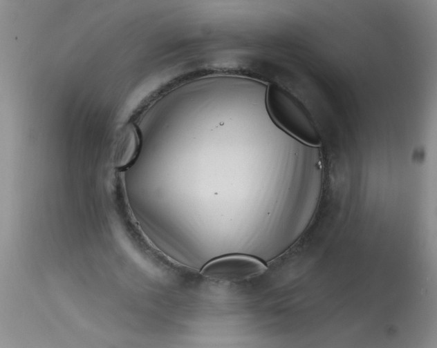 X0000113860728200910151236
