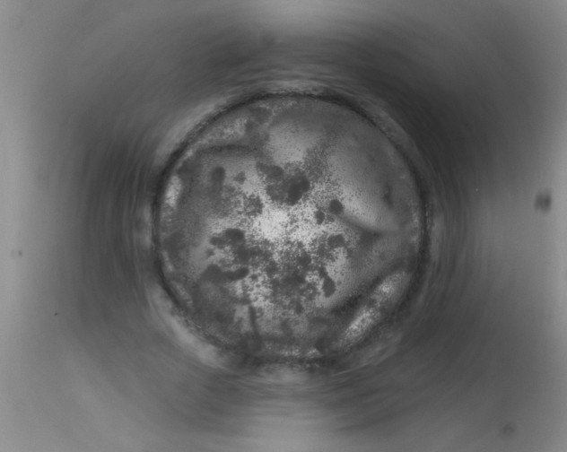 X0000113860729200910151236
