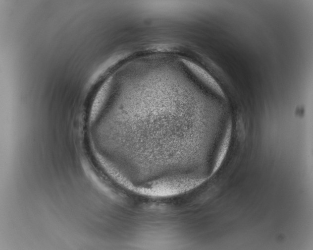 X0000113860730200910151236