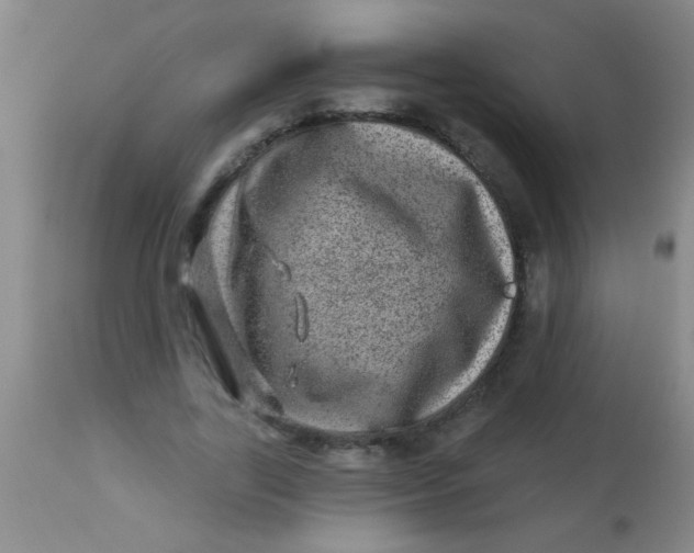 X0000113860731200910151236