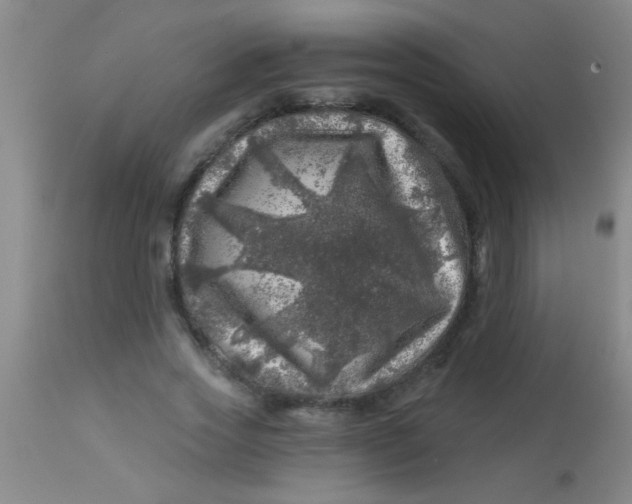 X0000113860733200910151236
