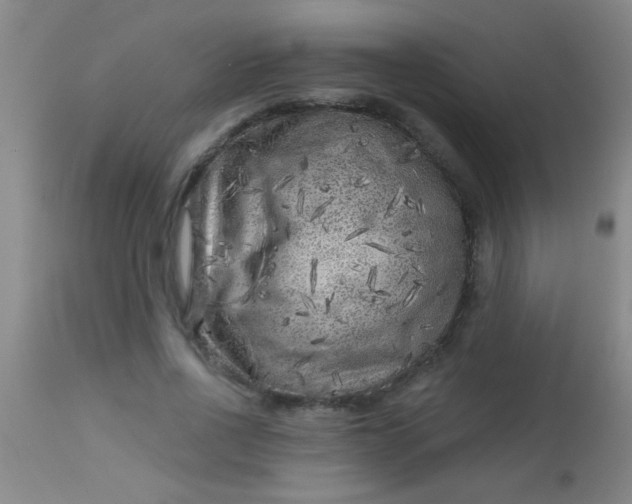 X0000113860734200910151236
