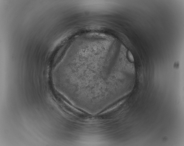 X0000113860735200910151236