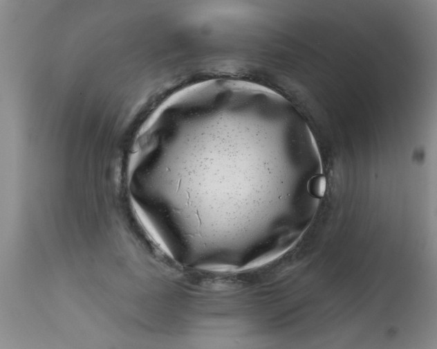 X0000113860739200910151236