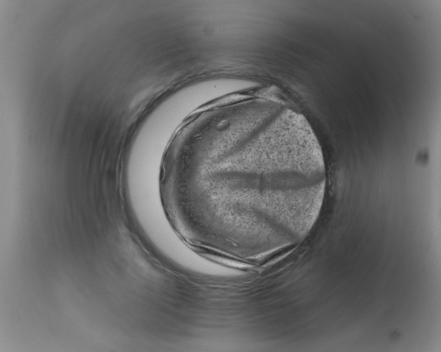 X0000113860740200910151236